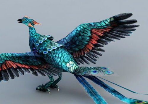 Beauty Peacock Phoenix