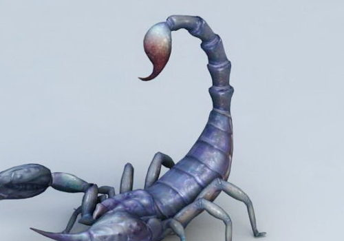 Blue Scorpion Animal