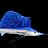 Blue Swordfish Animal