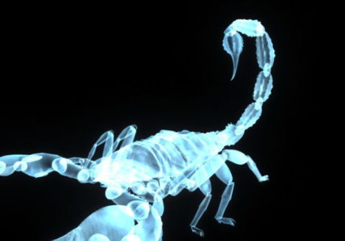 Blue Color Transparent Scorpion