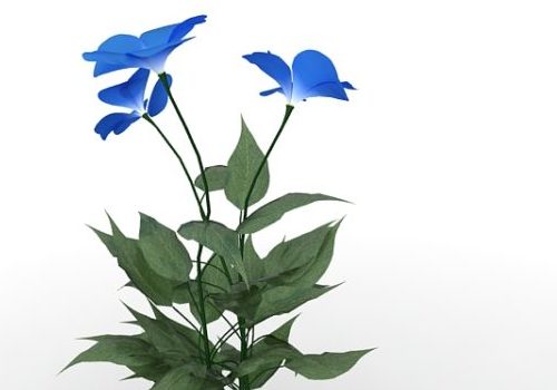 Garden Blue Flower Plants