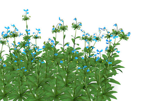 Blue Flowers Plants Decor