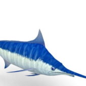 Blue Marlin Sea Fish Animals
