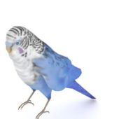 Blue Parakeet Bird Low Poly Animal Animals