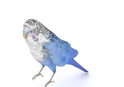 Blue Parakeet Bird Low Poly Animal Animals
