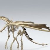 Bone Dragon Skeleton