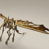 Drake Dragon Bone Skeleton | Animals