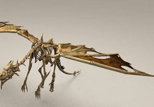 Drake Dragon Bone Skeleton | Animals