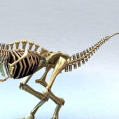 Bone Tyrannosaurus Rex | Animals