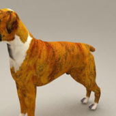 Realistic Boxer Dog Puppy | Animals