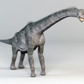 Brachiosaurus Dinosaur Animal