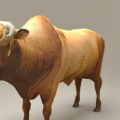 Realistic Cow Brahman Bull Cattle | Animals
