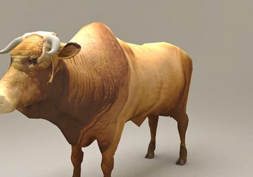 Realistic Cow Brahman Bull Cattle | Animals