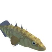Brook Stickleback Sea Fish Animals