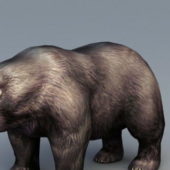 Russian Brown Bear Animal