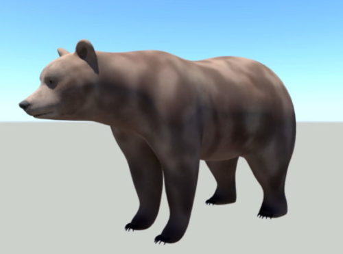 Animal Brown Bear Rigged