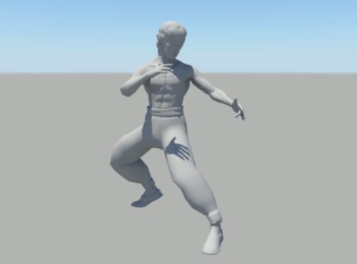Character Bruce Lee Rig