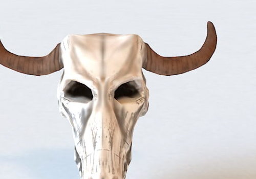 Bull Skull | Animals