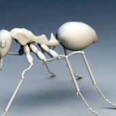 Wild Animal Bullet Ant