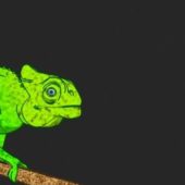 Cartoon Animal Chameleon Animated & Rigged