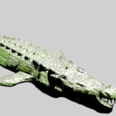 Cartoon Crocodile Animal