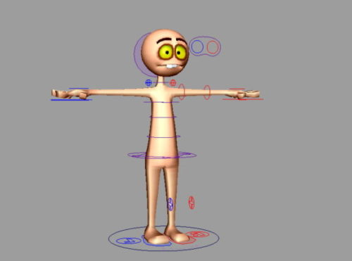 Game Character Cartoon Human Base Rig