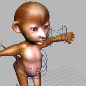 Baby Monkey Cartoon Character Rigged