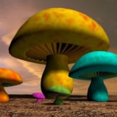 Colorful Cartoon Mushrooms