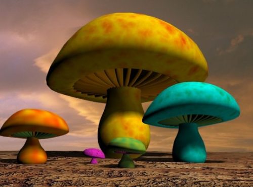 Colorful Cartoon Mushrooms