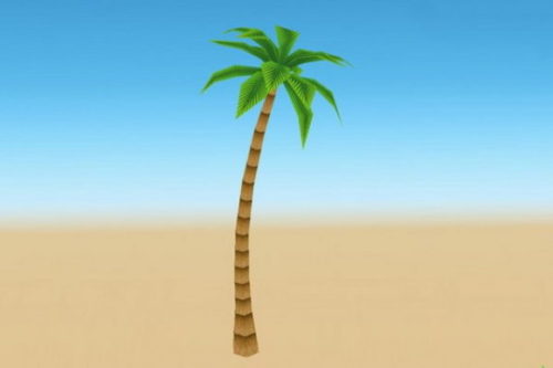 Cartoon Palm Tree Plant