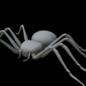 Animal Lowpoly Spider