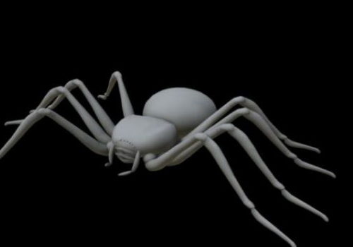 Animal Lowpoly Spider