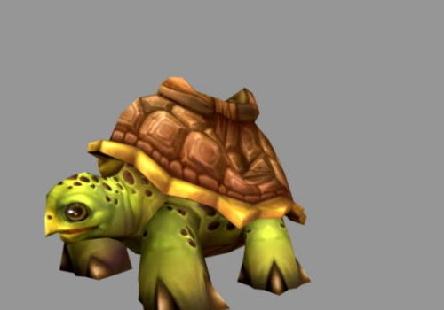 Cartoon Tortoise Character