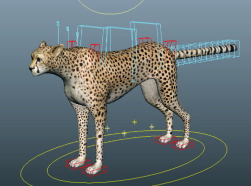 Animal Cheetah Running Rigged