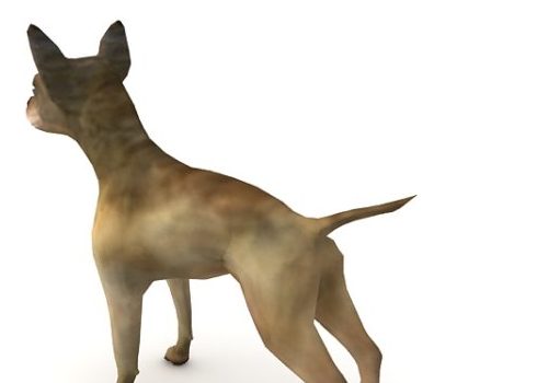 Chihuahua Dog Lowpoly Animal Animals