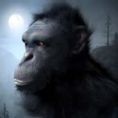 Realistic Chimpanzee Head