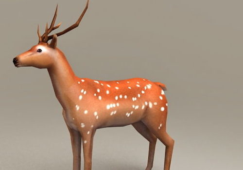 Chital Deer Lowpoly | Animals