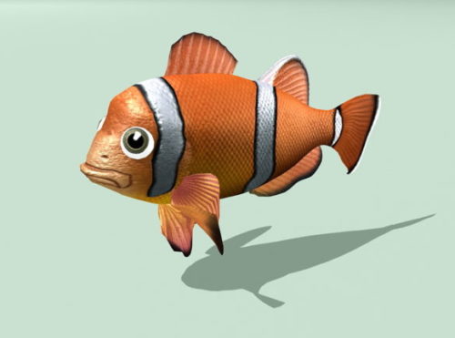 Clownfish Animal Animated Rigged