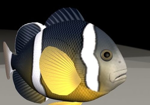 Clownfish Animated & Rigged | Animals