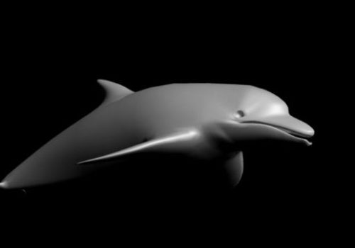 Sea Dolphin
