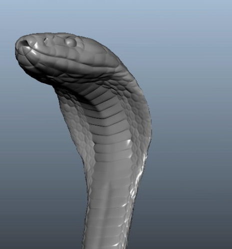 Cobra Snake