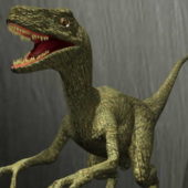Coelophysis Dinosaur Animal