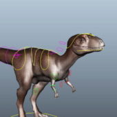Dinosaur Coelophysis Rigged