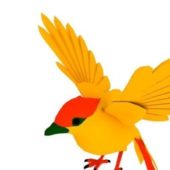 Colibri Bird