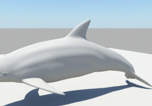 Common Dolphin Lowpoly
