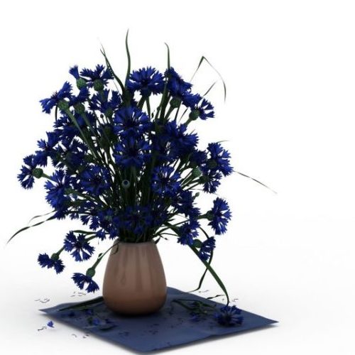 Indoor Cornflowers In Vase