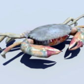 Animal Crab Animated Rig