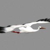 Animal Crane Bird Flying