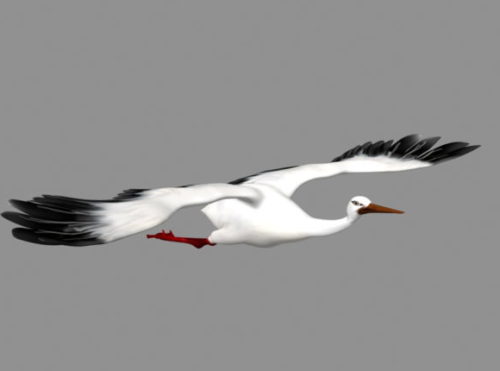 Animal Crane Bird Flying
