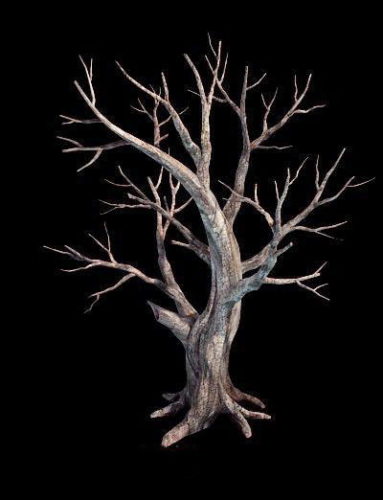 Nature Creepy Dead Tree